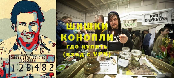 прущие грибы Коряжма