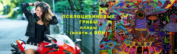 ГАЛЛЮЦИНОГЕННЫЕ ГРИБЫ Алзамай