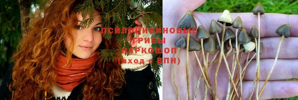 молекула духа Абаза